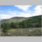 20060819_18DixieForest_004 copia.jpg